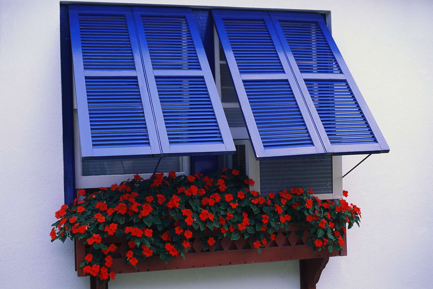 janelas de bermuda azul com floreira vermelha