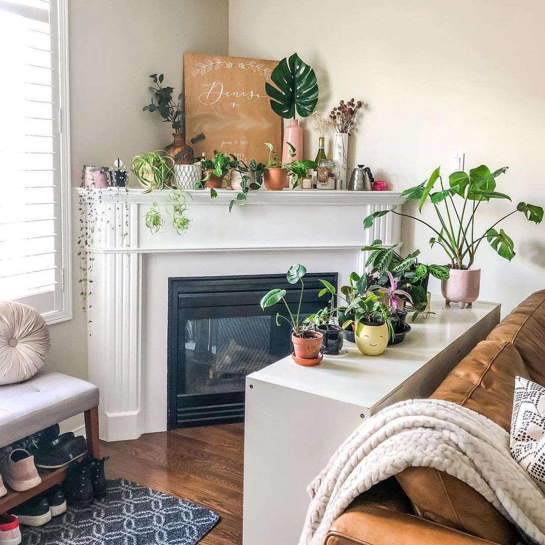 plant filled corner fireplace