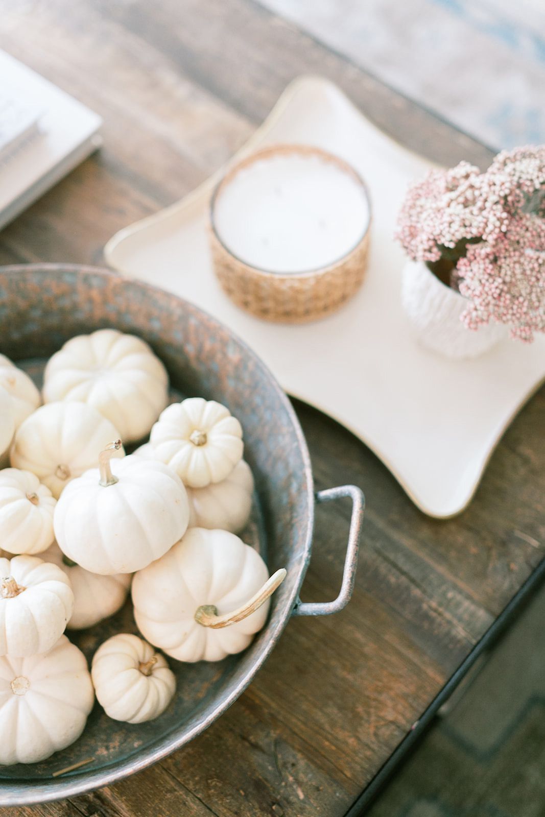 Un seau plein de citrouilles blanches