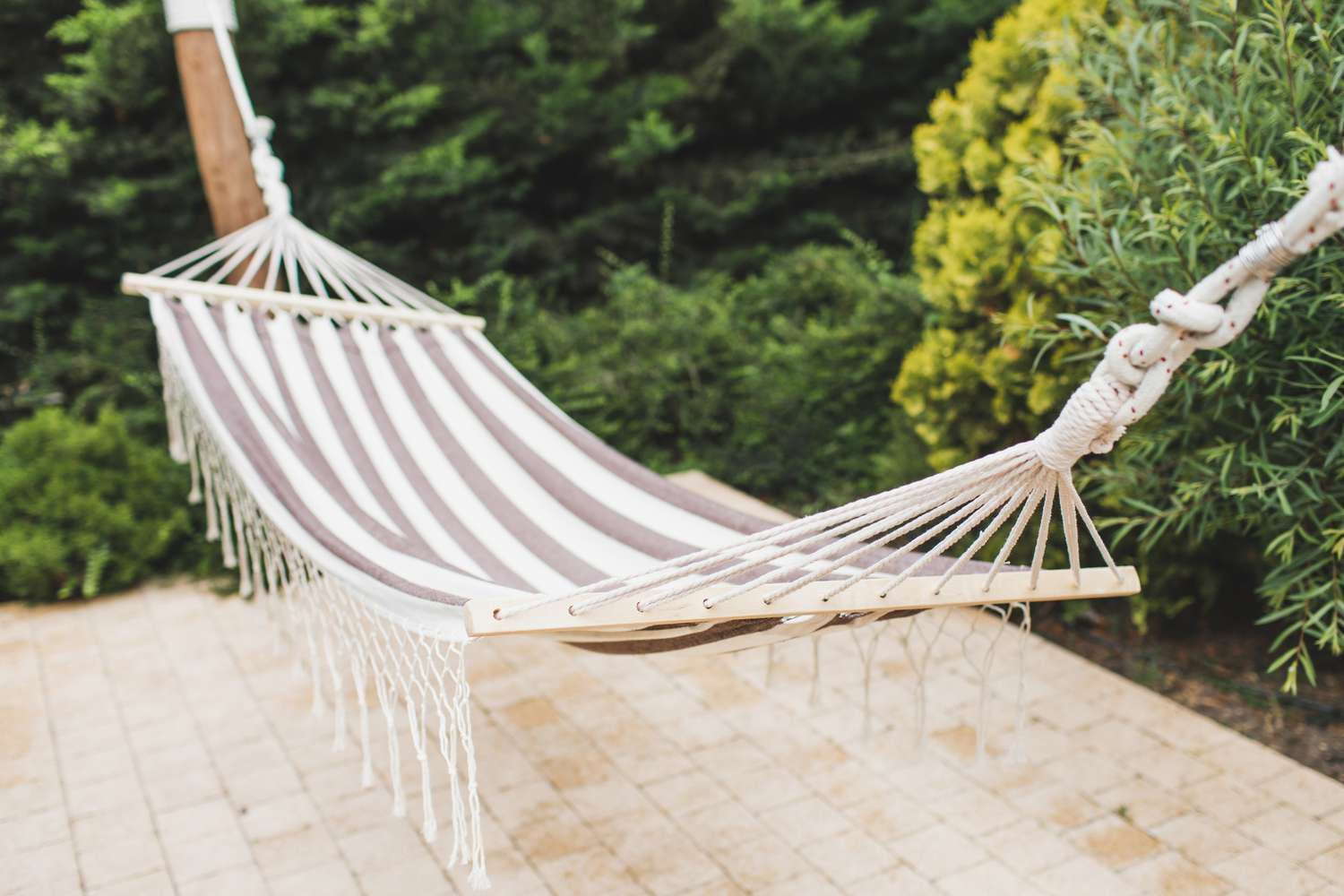 Striped Hammock In Home Backyard