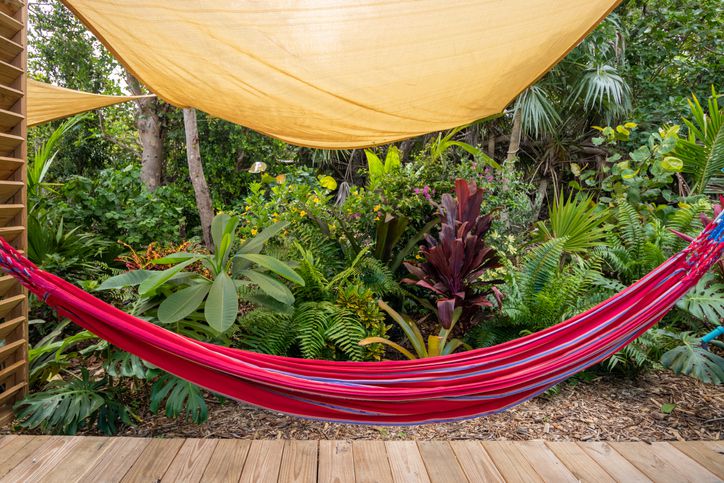 Striped Hammock Below Shade Sail