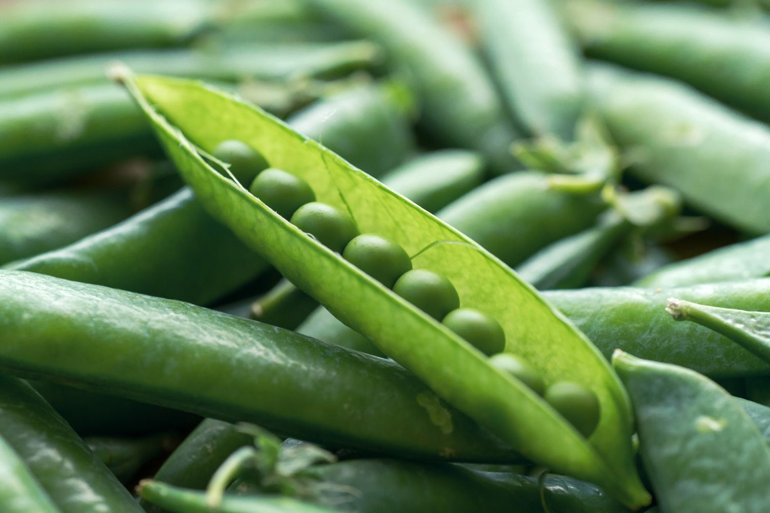 Close-up of peas