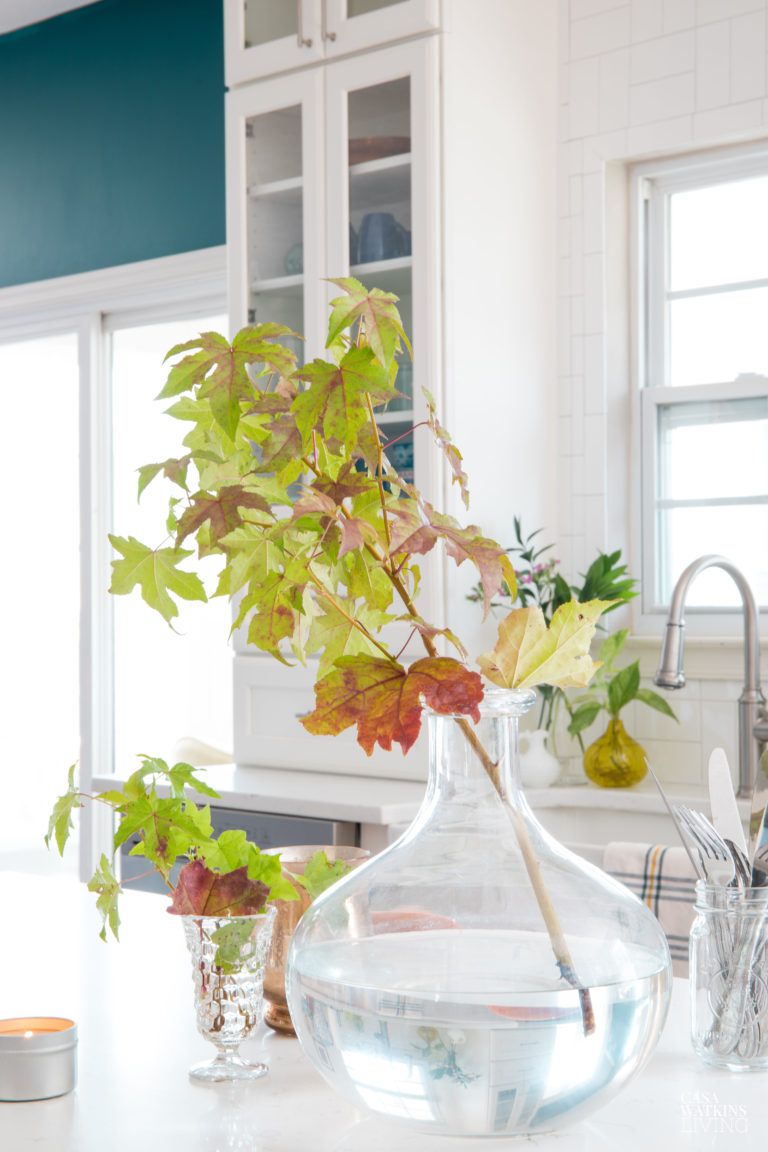 Fall leaves in a vase on a kitchen counter