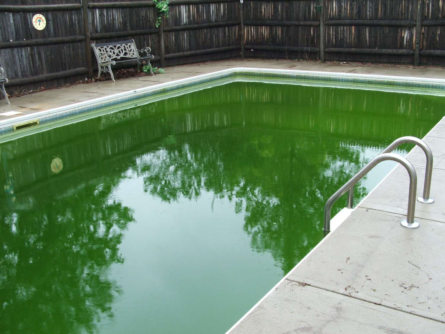Grüner Pool