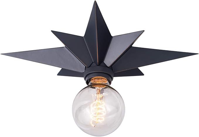 VILUXY Flush Mount Ceiling Light, Black Star Light