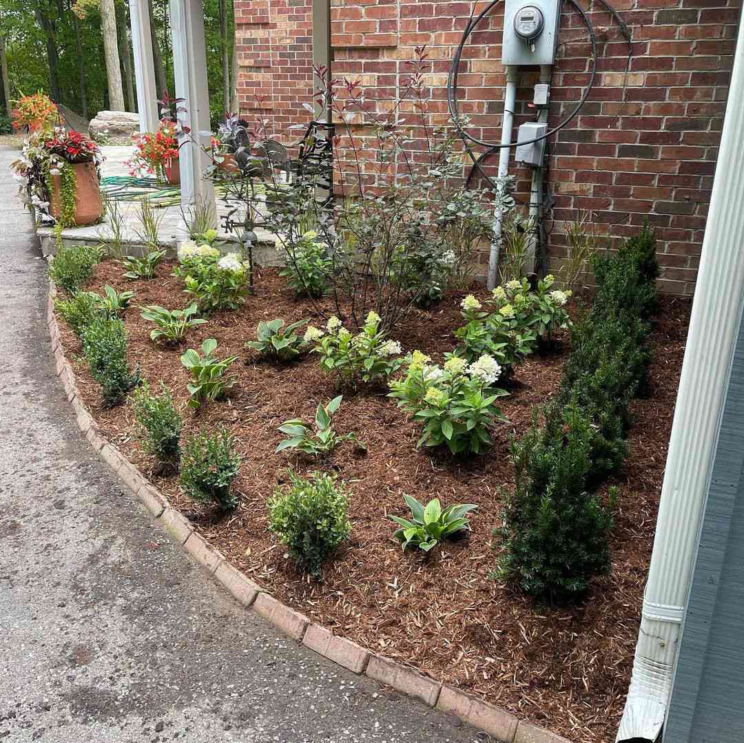 Un coin de jardin avec des plantes et du paillage.