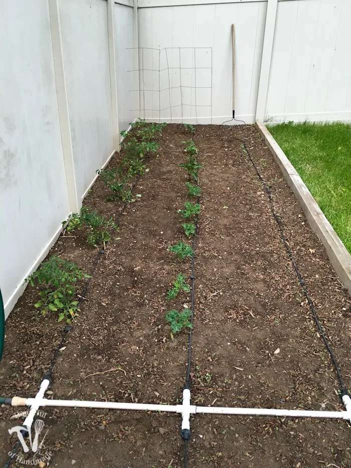 Un système d'irrigation goutte à goutte pour un jardin d'angle