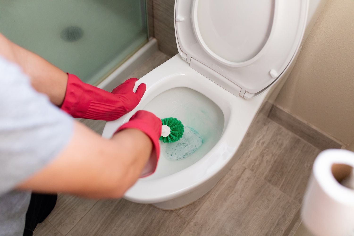 use a toilet brush to clean the inside of the toilet bowl
