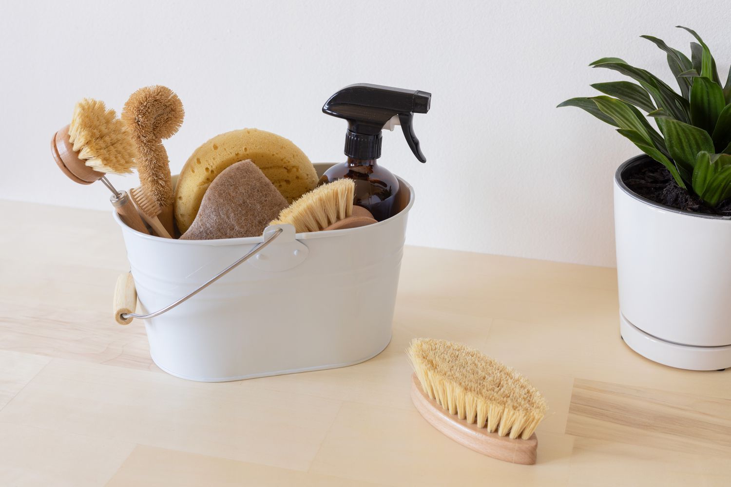 White metal caddy holding sponges and brushes next to houseplant