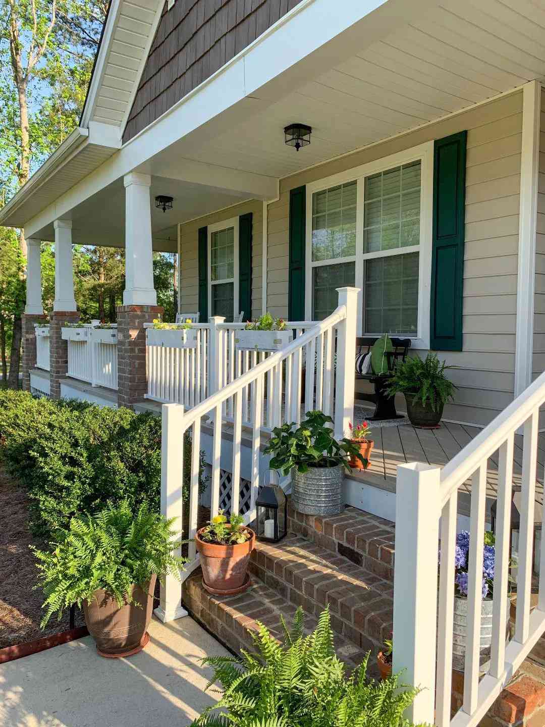 front steps with plants