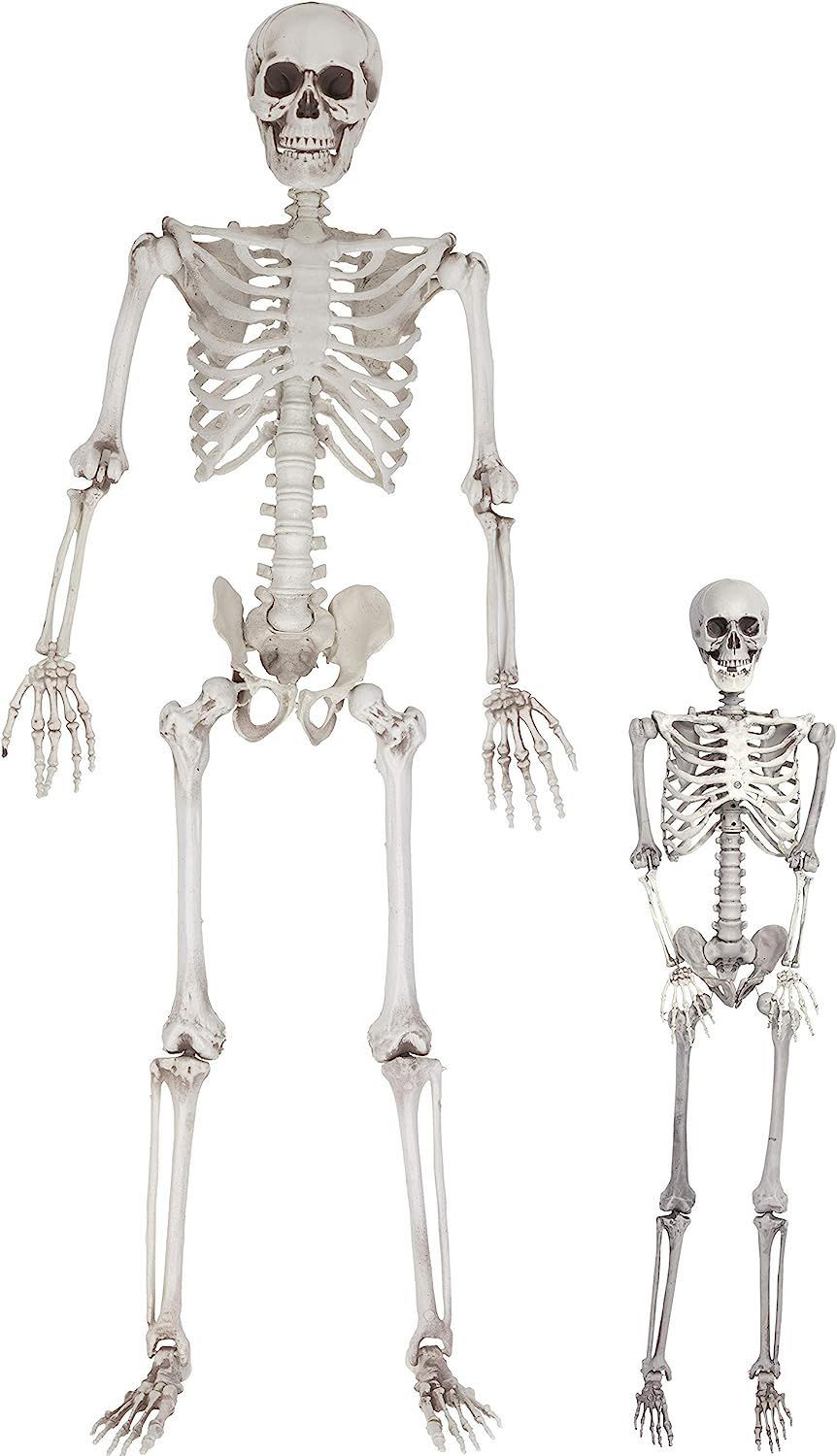 posable adult and child skeleton