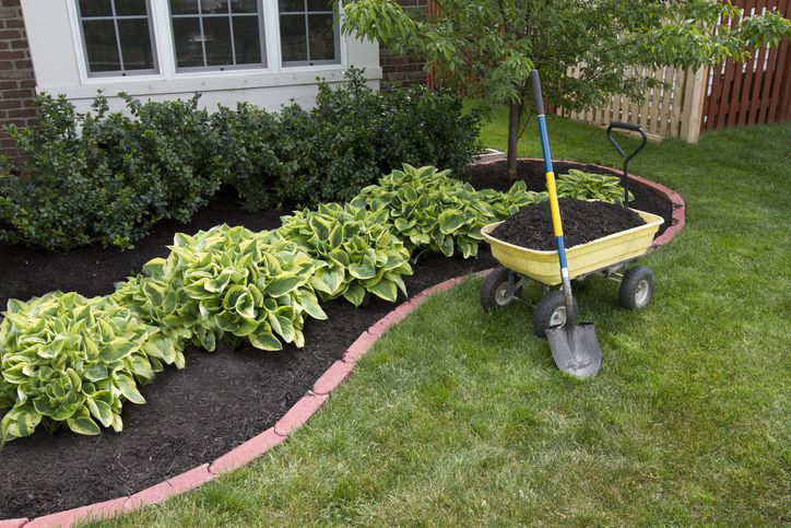 preparar las plantas para invernar