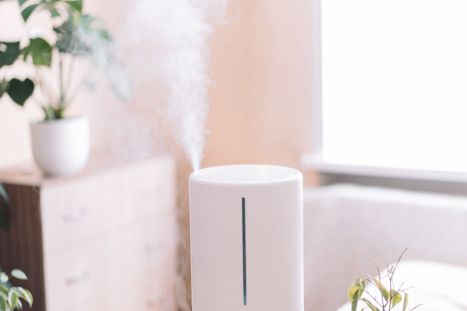 Humidificador funcionando en una habitación con plantas de interior, una cómoda y luz que entra por la ventana.