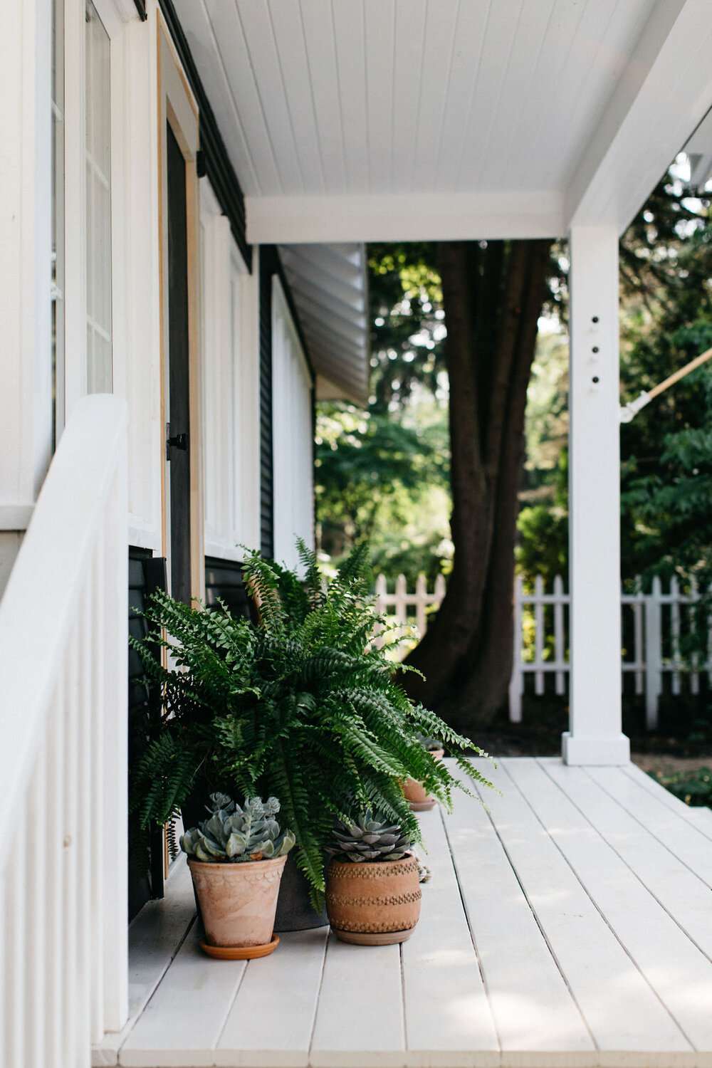 Plantas junto a la puerta de un porche