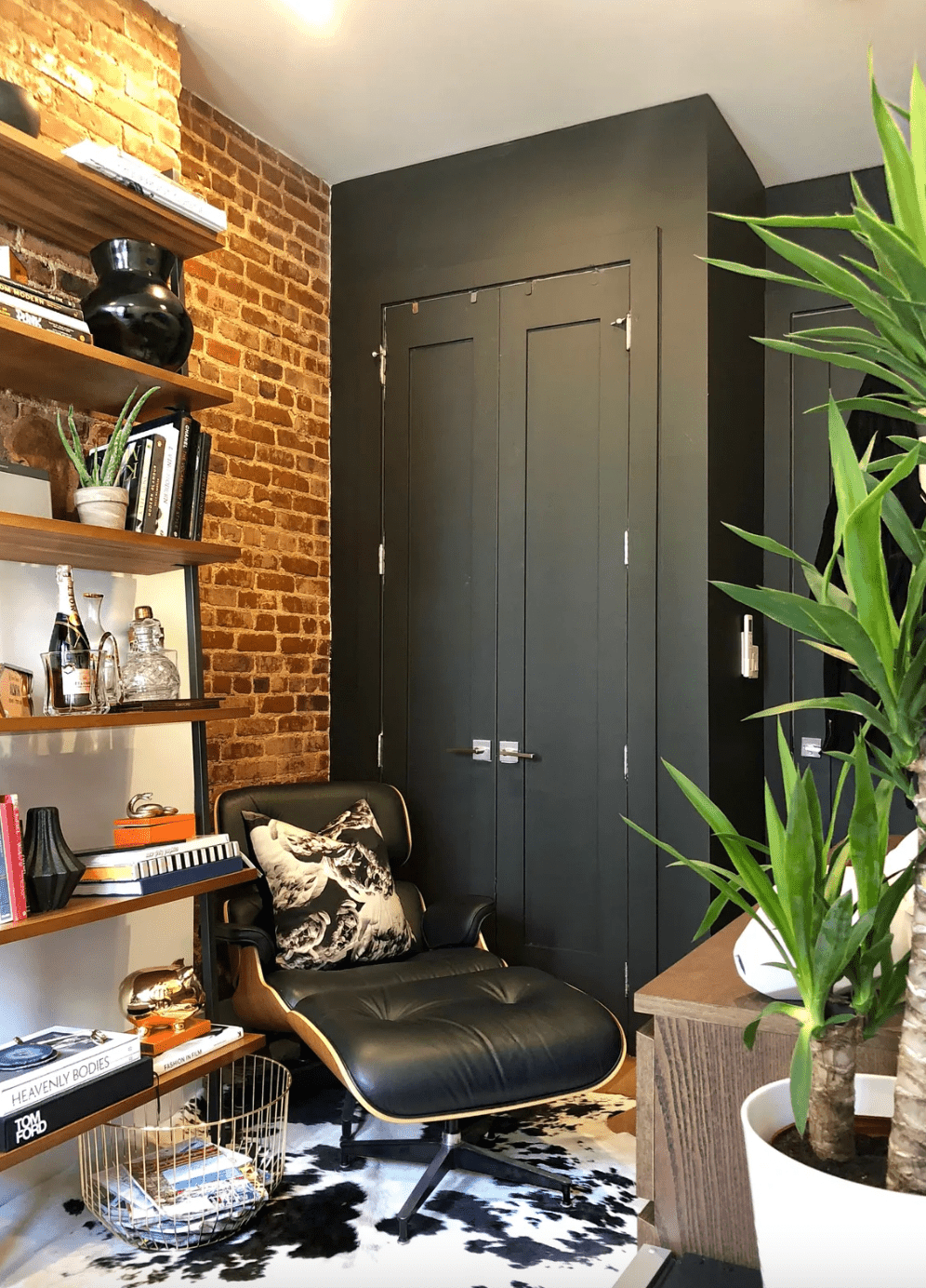 black accent wall with closet