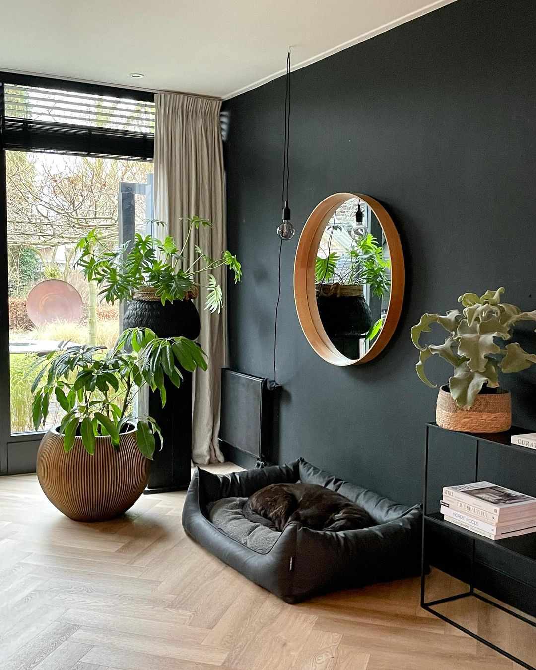 black accent wall with plants
