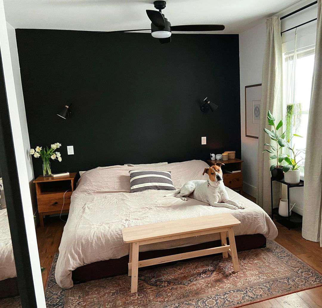 black accent wall behind bed