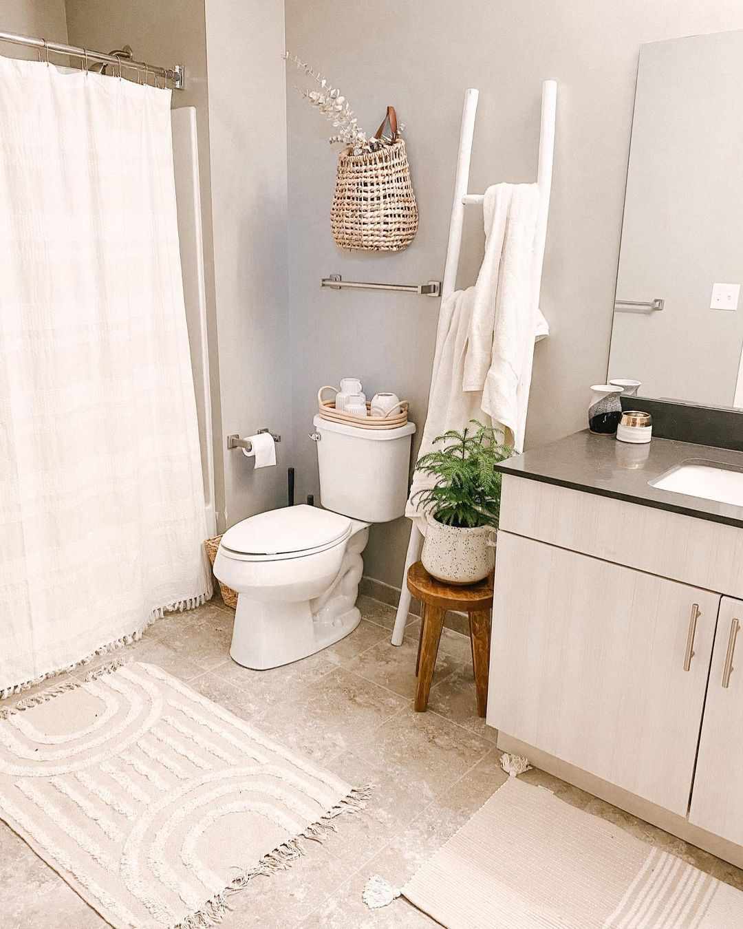 Banheiro pequeno com cestos, planta na banqueta e escada para toalhas
