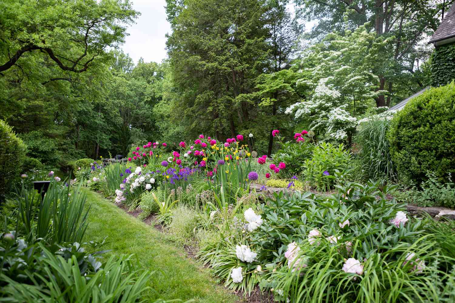 Jardim de flores perenes com flores brancas, rosas e roxas cercadas por árvores