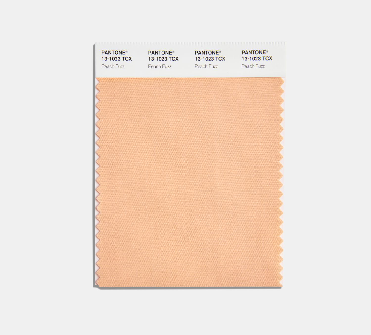 Pantone's 2024 Color of the Year Peach Fuzz
