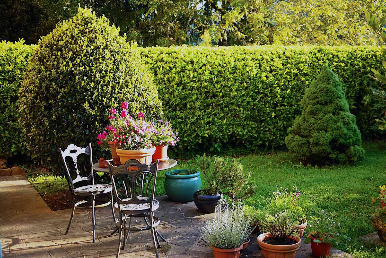 Laurel hedge added to yard for privacy.