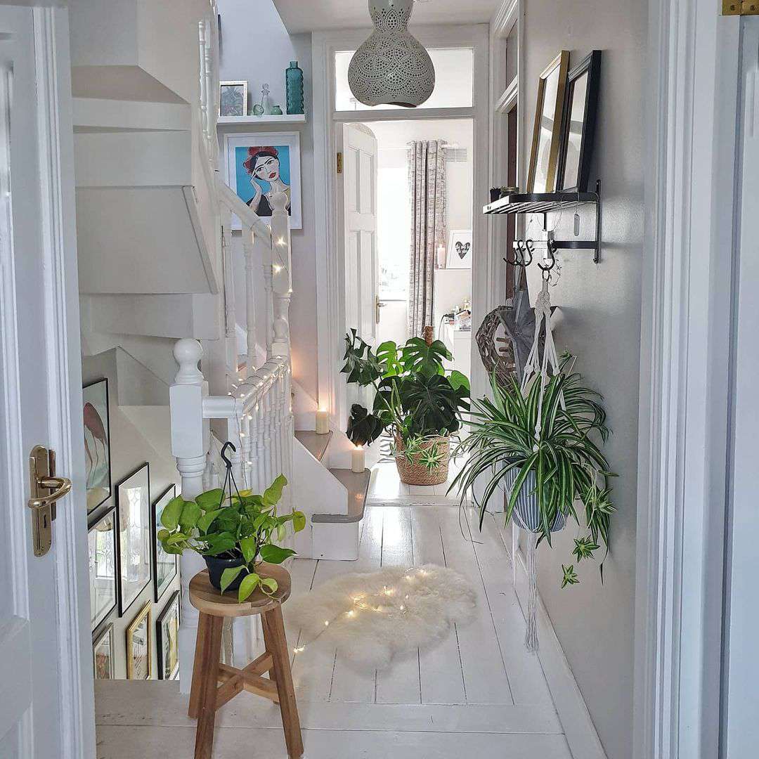 Couloir avec plantes et photos sur un rebord de tableau