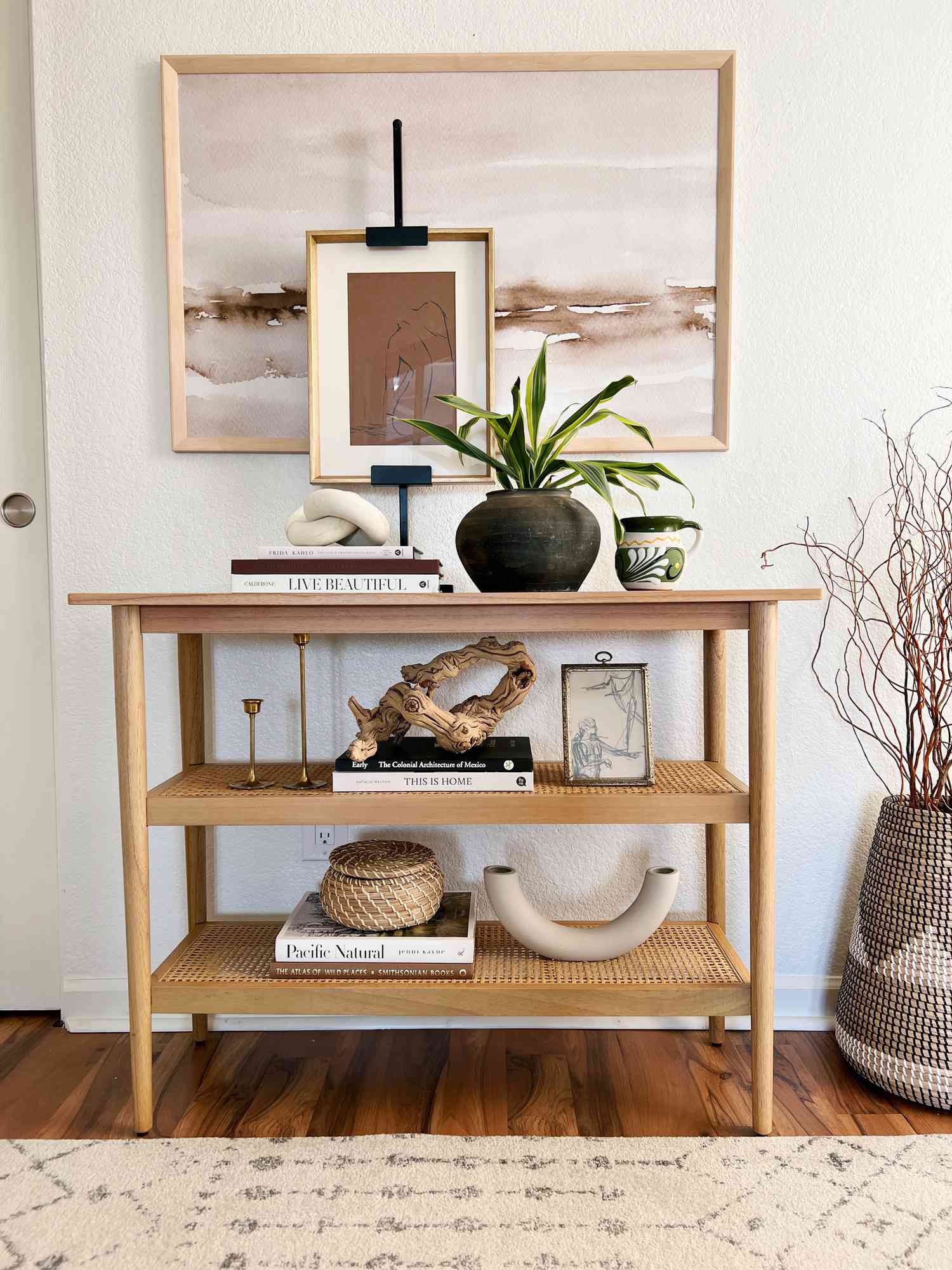 Lidia Salazar Shelf