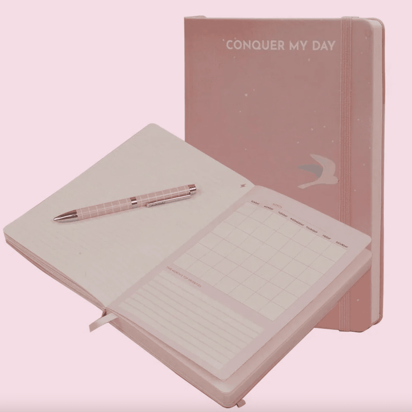 conquer my day pink journal on a pink background