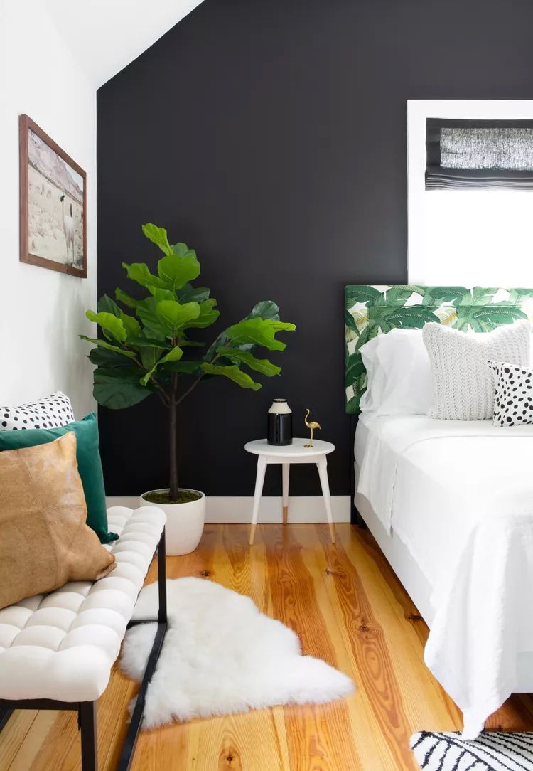black accent wall with plants bedroom