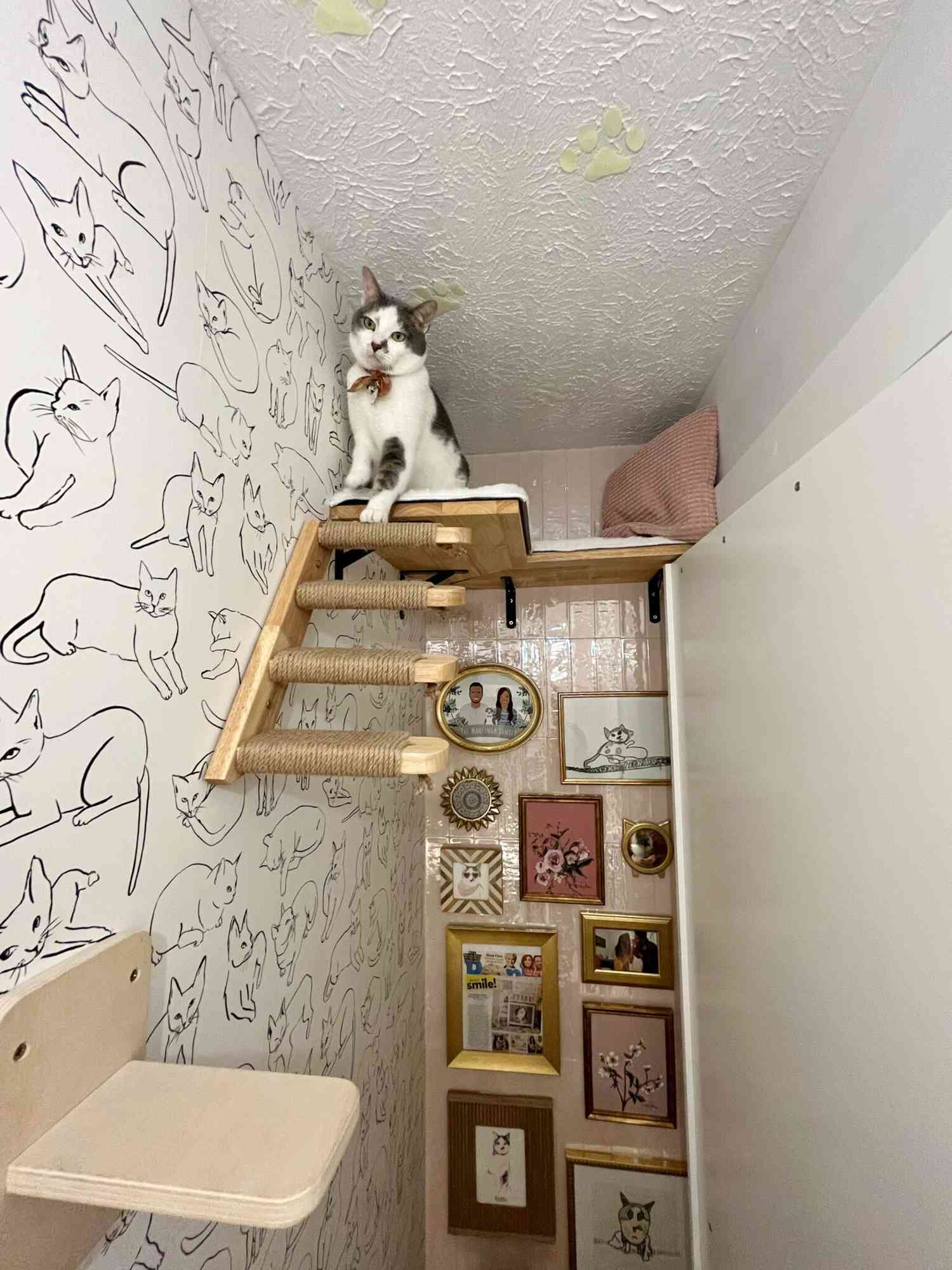 tiny cat bedroom