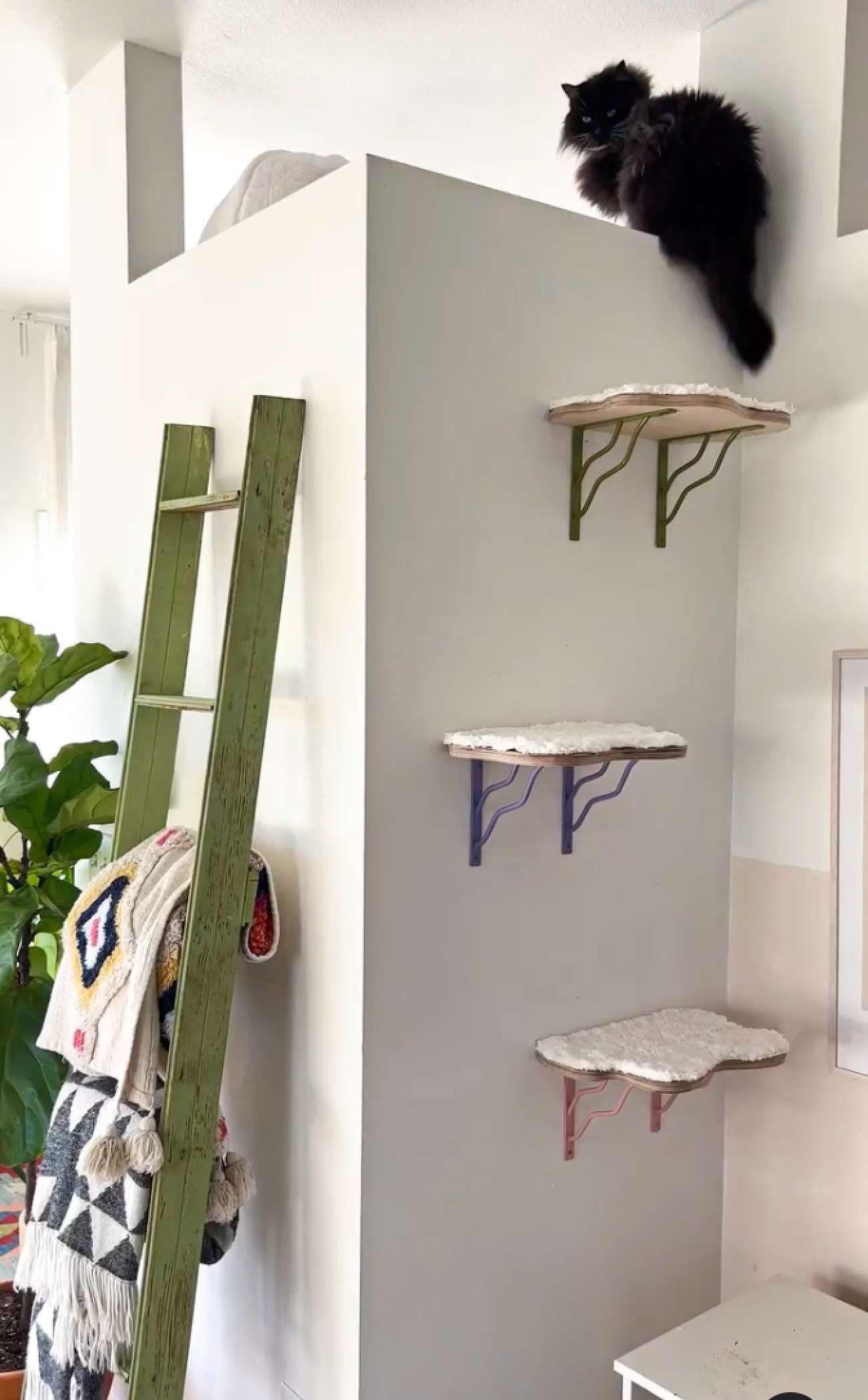 DIY estantes para trepar gatos