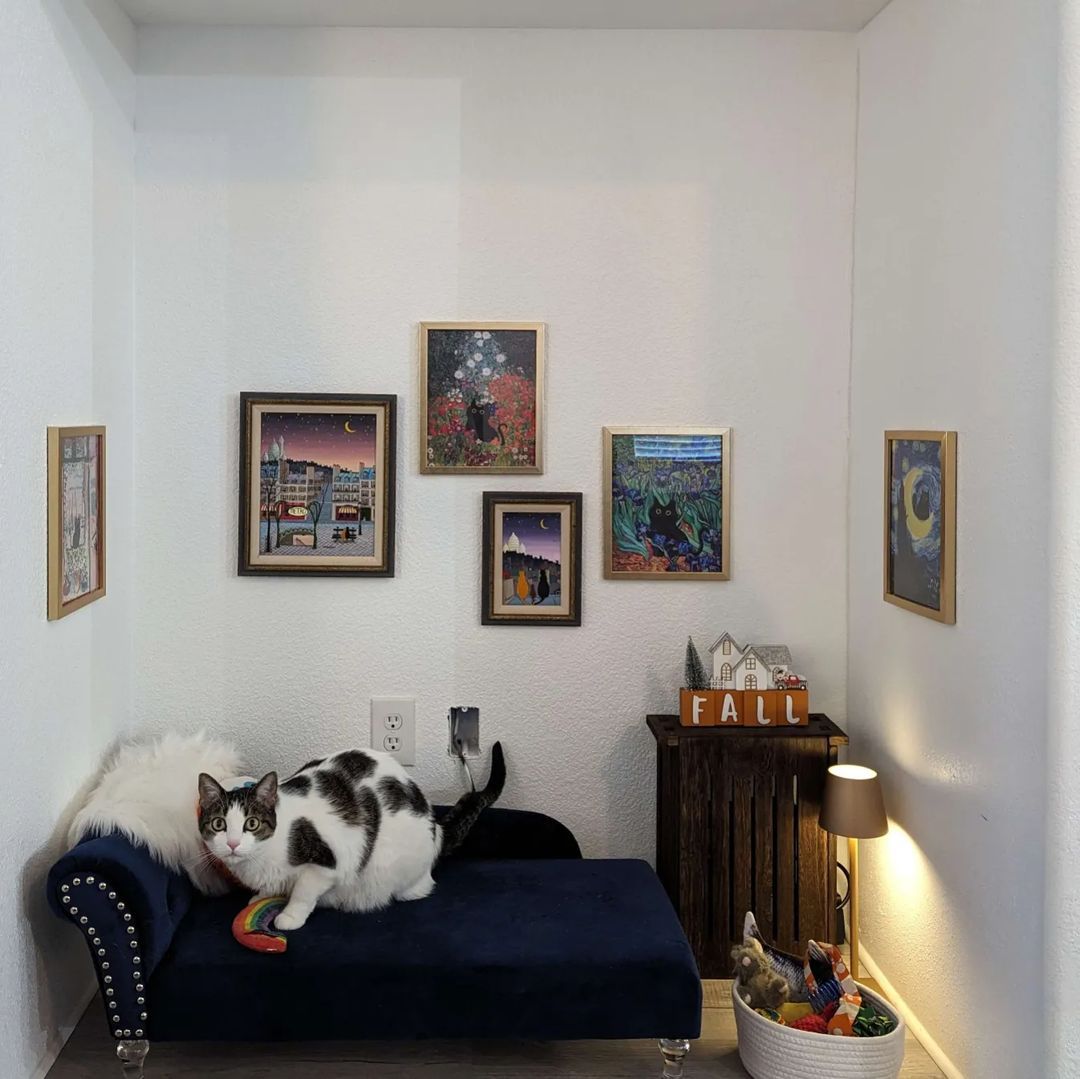 Katzenwohnzimmer