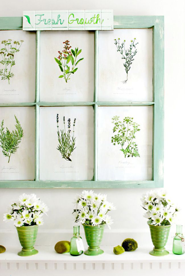 Cadres de fenêtres décorés d'imprimés botaniques