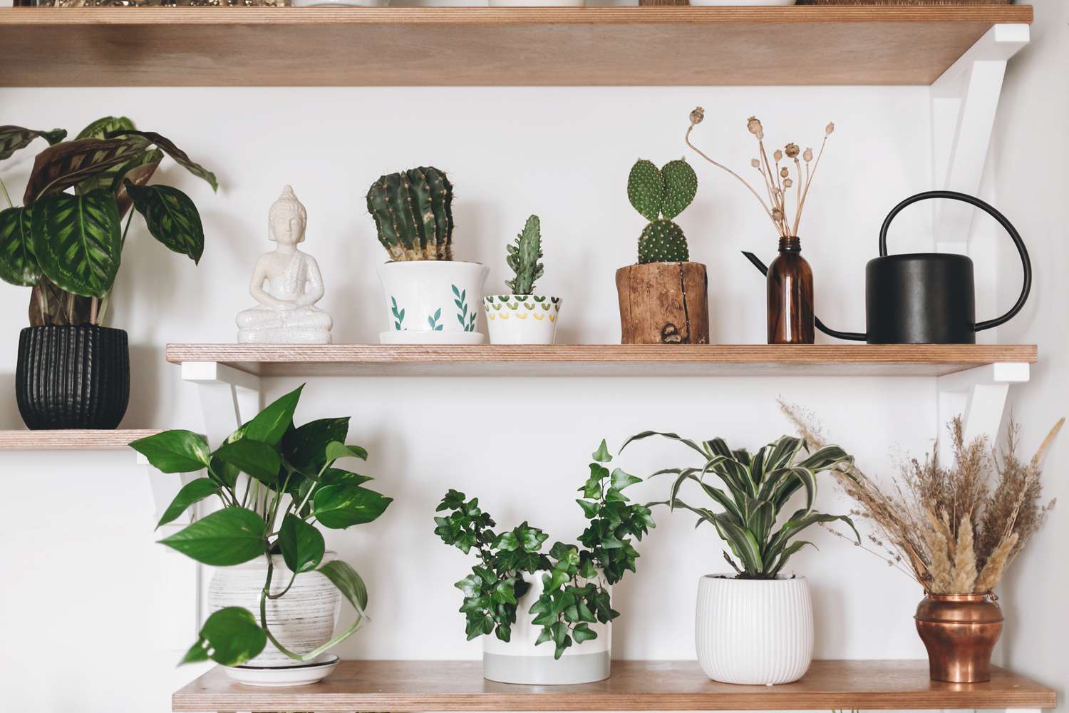plantas de interior en una estantería de madera con decoración minimalista